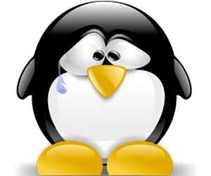 Mengintip Kekurangan Dan Kelebihan Dari Linux 1_zps53bd363e