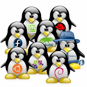 Mengintip Kekurangan Dan Kelebihan Dari Linux_zpsb3d848b5