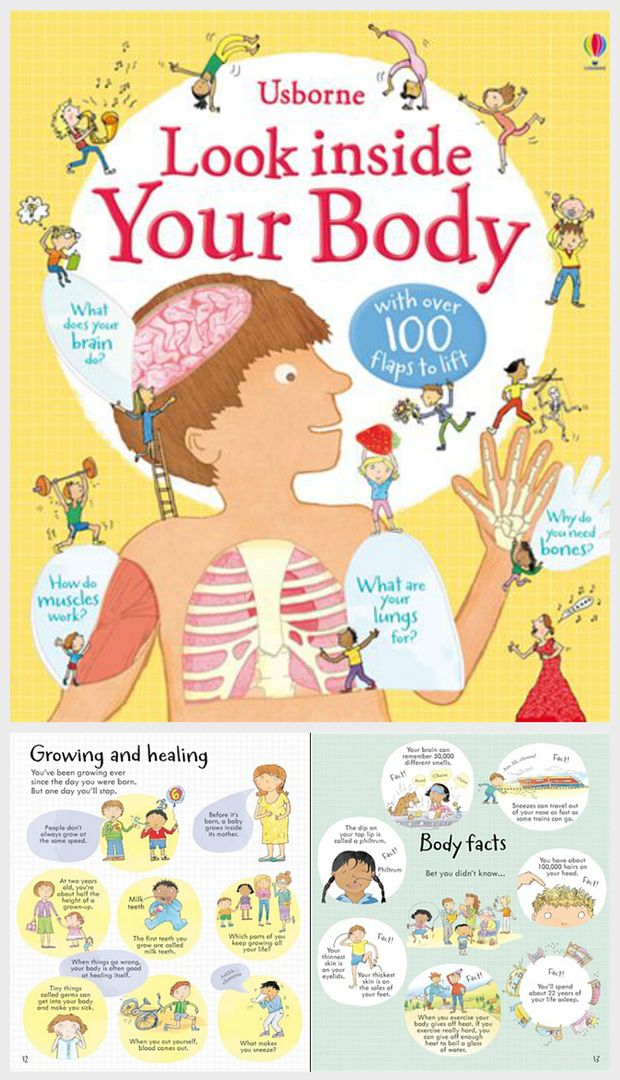 Look Inside: Your Body - educational gift guide for preschoolers