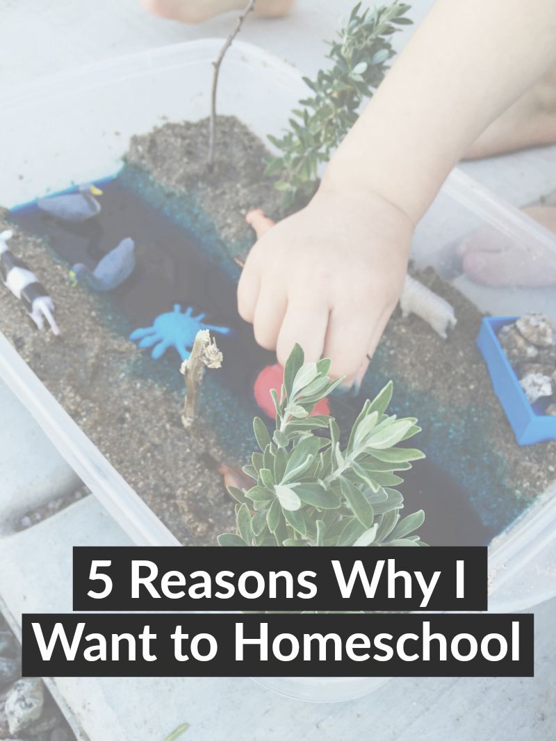 5 main reasons why I've chosen homeschooling for our family