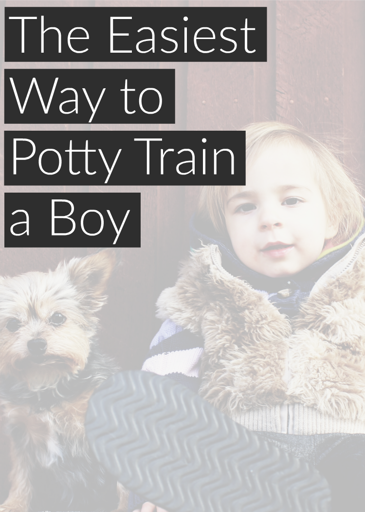 The no headache way to potty train a boy