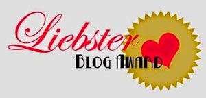 Liebster blog award 2014 winter