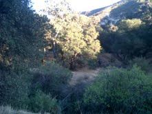 Las Llajas Trail 2013