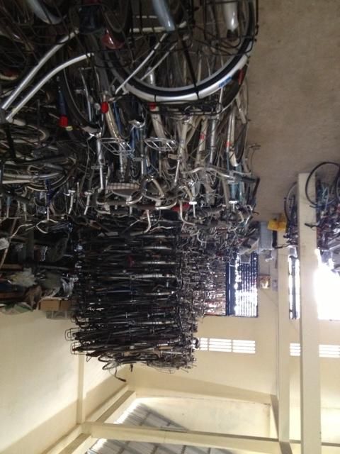 Kho xe đạp thể thao made in japan,các loại Touring, MTB, Road, xe xếp, baby, độc & lạ Kho xe đạp thể thao made in japan,các loại Touring, MTB, Road, xe xếp, baby, độc & lạ