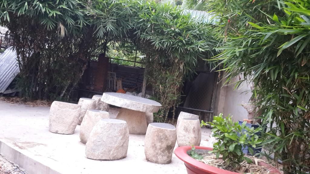 Cần Bán Gấp Trang Trại Cây Cao Su ,Cây Ăn Trái & Chăn Nuôi Gia Súc ( 6 Hecta ) - 8