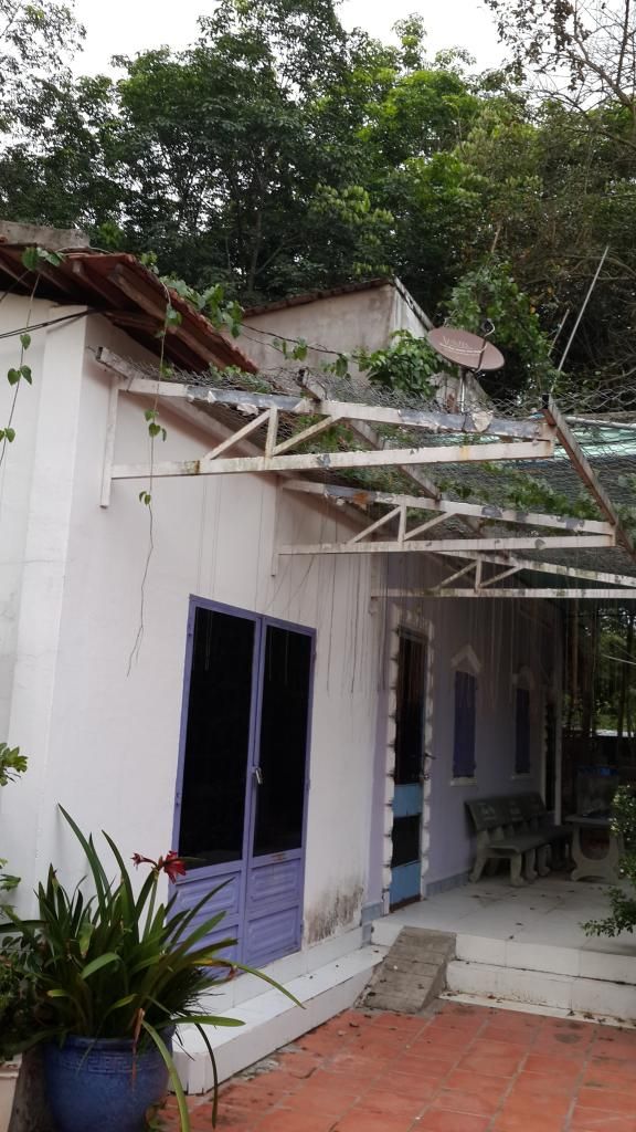 Cần Bán Gấp Trang Trại Cây Cao Su ,Cây Ăn Trái & Chăn Nuôi Gia Súc ( 6 Hecta ) - 9