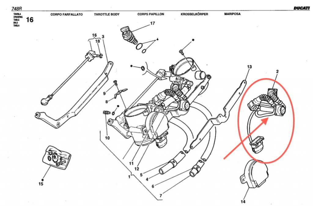 DUCATI CORSE 748 RACING THROTTLE BODY WIRING HARNESS ... ducati 748 wiring diagram 