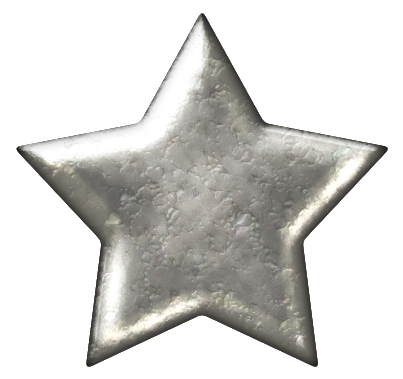  photo DDBChristmasWishessilverstarbrad-1_zps15be7c63.png