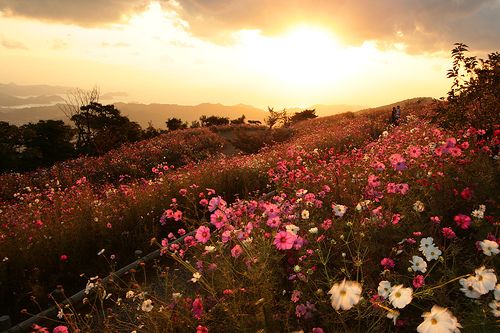 photo autumn-2_zpsba65d4b3.jpg