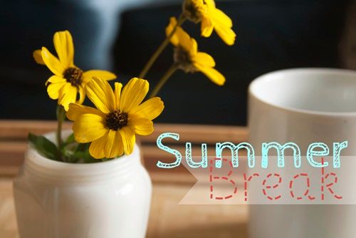  photo summerbreakimage_zpse451094c.jpg