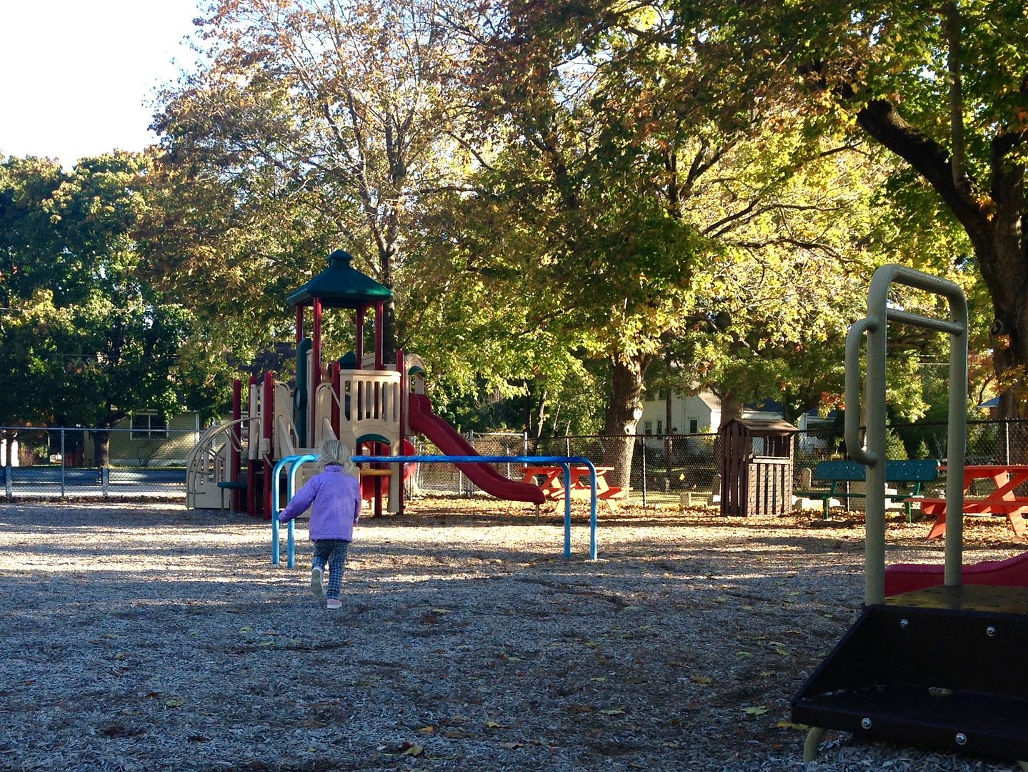 photo 97E3DD0C-E0D5-403F-9CB0-50D22485D51B_zpso4fgirei.jpg