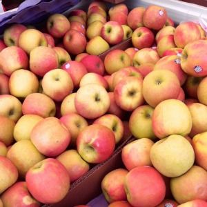 photo apples_zps98daea42.jpg