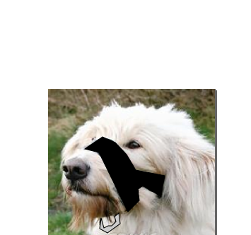 http://i1284.photobucket.com/albums/a578/karoliniaa/2_zps5f4685d8.png