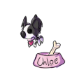 chloe-thefluffleeardog.png