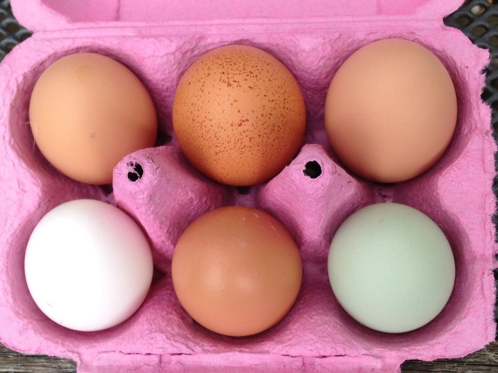 eggs_zpsslhpietw.jpg