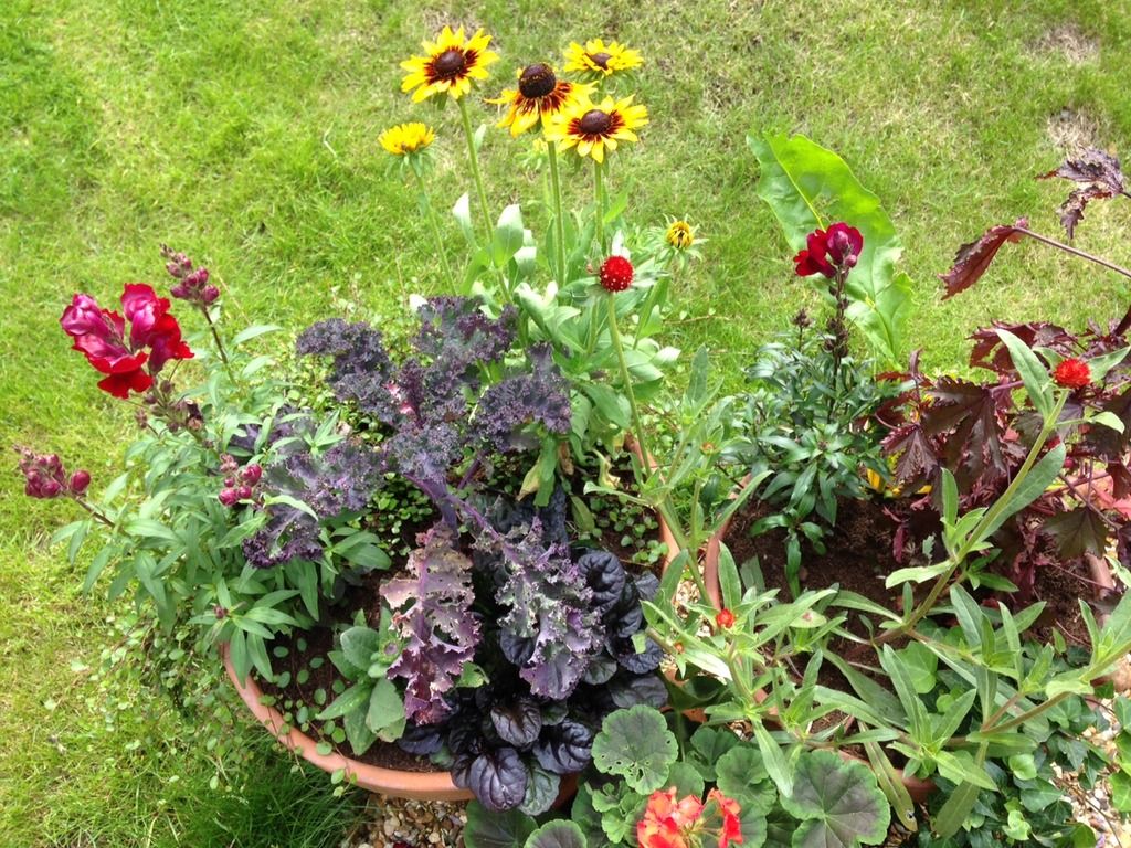 flower2_zpspvlfiofu.jpg