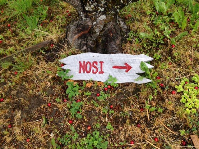 nosi_zpsd2b38b52.jpg