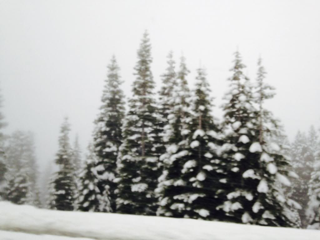 snow_zps5929e552.jpg