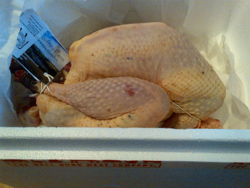 turkey_zpsd1abdc02.jpg