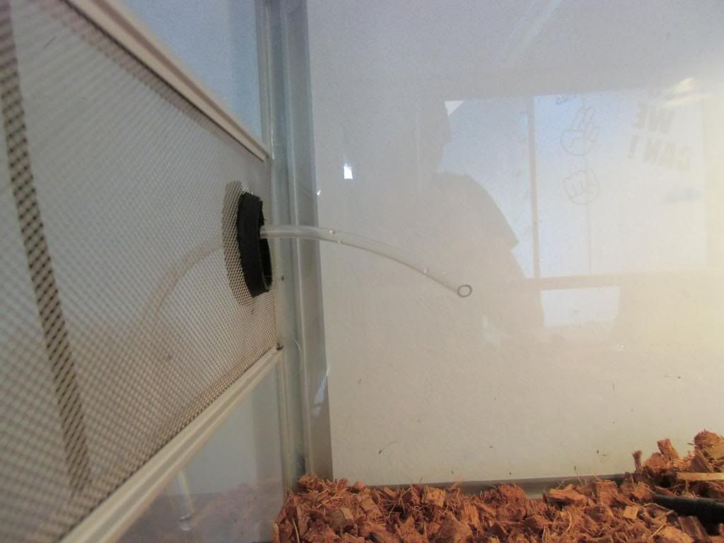 D.I.Y Humidifier Reptile Forums D.I.Y Humidifier Reptile Forums