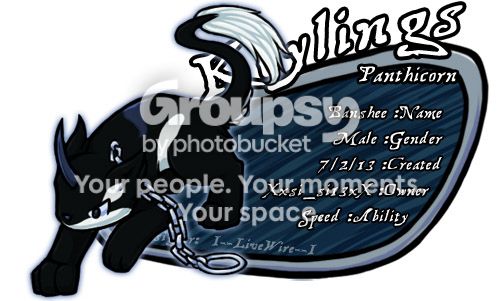 User Image