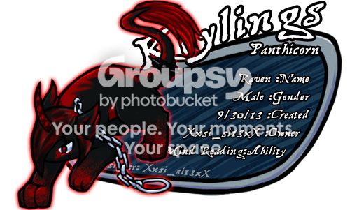 User Image