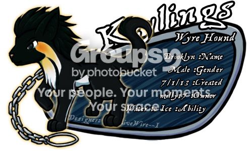 User Image