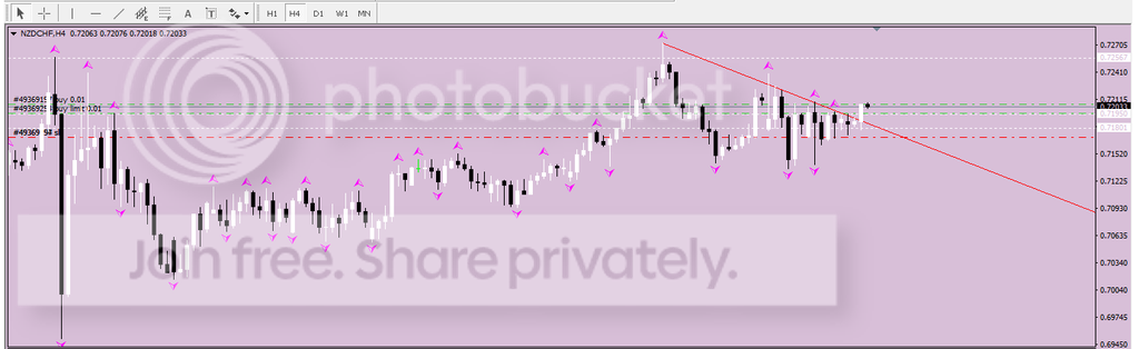 nzdchf_zpsjp5jx2az.png